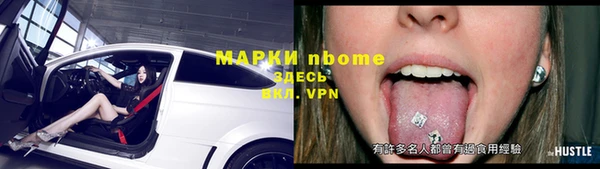 прущий лед Алзамай